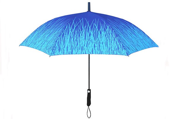 umbrella1