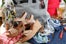 7_Clarks_MG_6006_ad