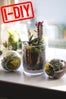 diy gardening project