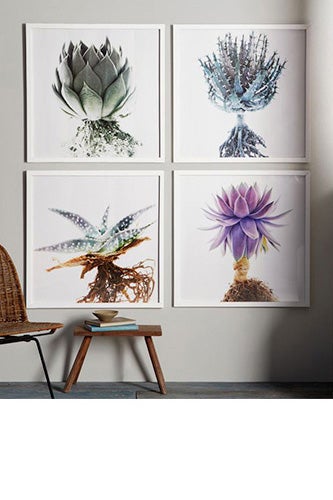 Clinton-Friedman-Prints_West-Elm_149