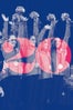 20_FabFive