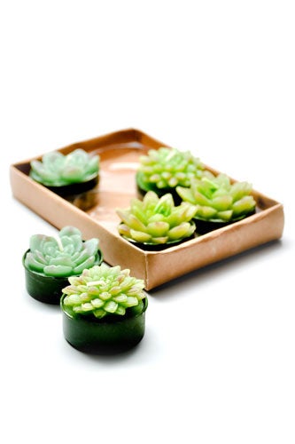 Succulent-Tea-Light-Candles_Leif_15