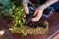 13_MOSS_CRATE_STEP_2