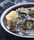 oysters-opener