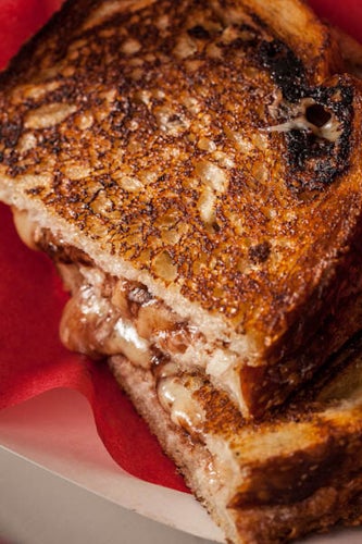 Hudson-Lodge-Nutella-Grilled-Cheese2