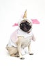 28_Sgt.Pepper_Unicorn_Pug3