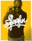 @superfun summer 2011 posters