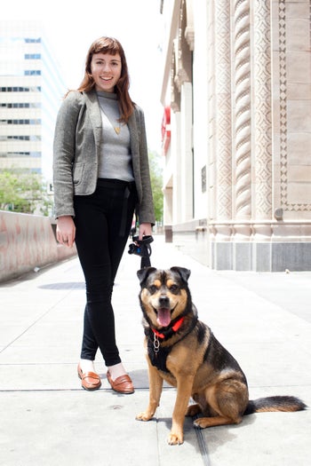 san francisco dogs