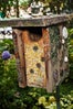 11_R29-Ellie_Eckert_Garden-343