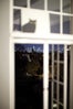 08_IMG_6225