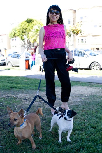 san francisco dogs