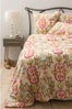 Anthropologie 3