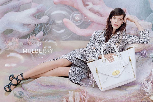 mulberry6