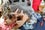 7_Clarks_MG_6006_ad