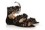 Charlotte Olympia 8