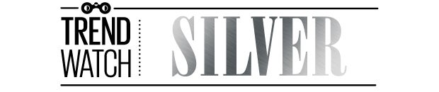 TrendWatch_Silver_header