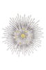 Star_Brooch_Current