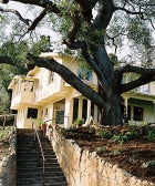 The Coolest, Most Unexpected Locations For A SoCal Wedding opener-2