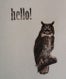 owl thumb