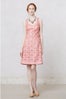 Anthropologie 2