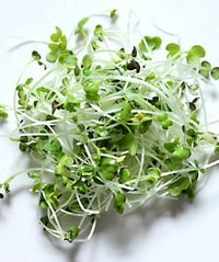 Micro-Greens: Pretty To Look At, Even Better For Your Health microgreens-opener