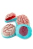 gummy-brains--candy-warehouse-9