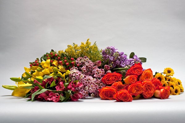 1-NEW-Gaffney_FavFlower