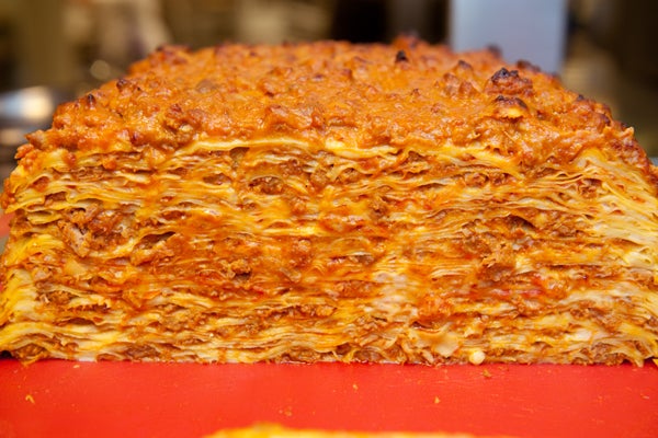 3-100_Layer_Lasagna_2010-(1)