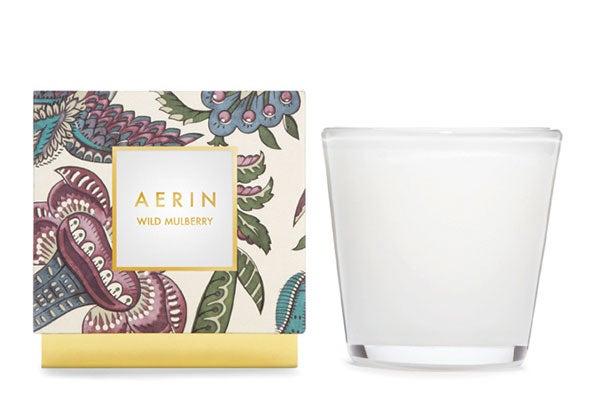 aerin-new