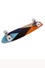 Sandro-Skateboard