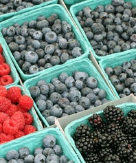 blueberries opener