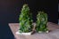 03__DSC0116 copy