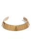 COLLARS_Dannijo-Gold-Collar-Necklace_Stylebop_320