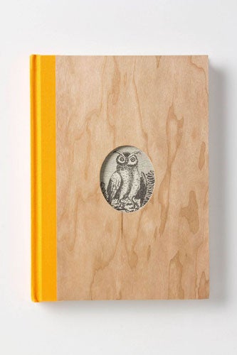 2-Anthropologie