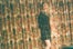 CRYBABYpresents_H12_Image4